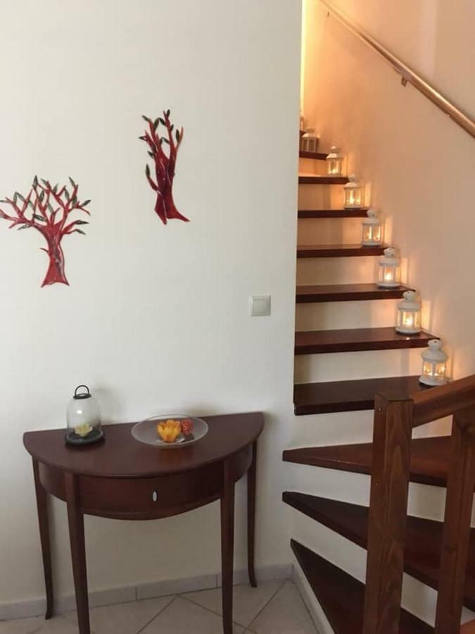 Dream House Villa Nikiti  Dış mekan fotoğraf